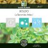 Boldo - 500 Gélules - Le Secret des Andes !
