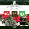 Charbon Végétal - 500 Gélules - Le Diamant Noir !