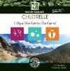 Chlorelle - 90 Comprimés - L'Algue Bienfaitrice Purifiante!