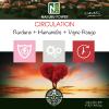 Circulation = Bardane + Hamamélis + Vigne Rouge / 500 Comprimés