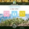 Criste Marine - 500 Gélules - Le Céleri de Mer !