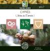 Cyprès - 500 Gélules - L'Arbre de l'Éternité !