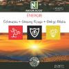 Énergie = Échinacéa + Ginseng Rouge + Ginkgo Biloba / 500 Comprimés