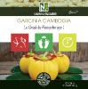 Garcinia Cambogia - 500 Gélules - Le Graal du Rééquilibrage !