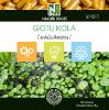 Gotu Kola - 90 Gélules - Centella Asiatica !