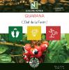 Guarana - 400 Comprimés - L’œil de la Forêt!