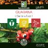 Guarana - 90 Comprimés - L’œil de la Forêt!