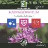 Harpagophytum - 90 Comprimés - La Griffe du Diable!