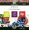 Myrtille - 500 Gélules Végétales - La Perle Préhistorique !