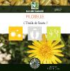 Piloselle - 500 Gélules - L'Oreille de Souris !