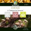 Shiitaké - 120 Gélules - Le Champignon des Samouraïs!