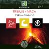 Tribulus + Maca / 500 Gélules / L'Alliance Stimulante !