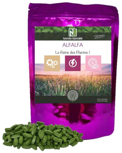 Alfalfa Luzerne ou Medicago Sativa - 250 Comprimés - La Reine des Plantes!