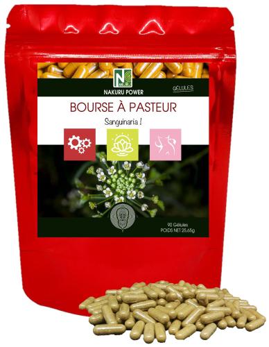 Bourse à Pasteur - 90 Gélules - Sanguinaria !