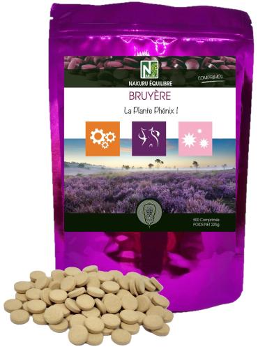 Bruyère - 500 Comprimés - La plante Phénix !